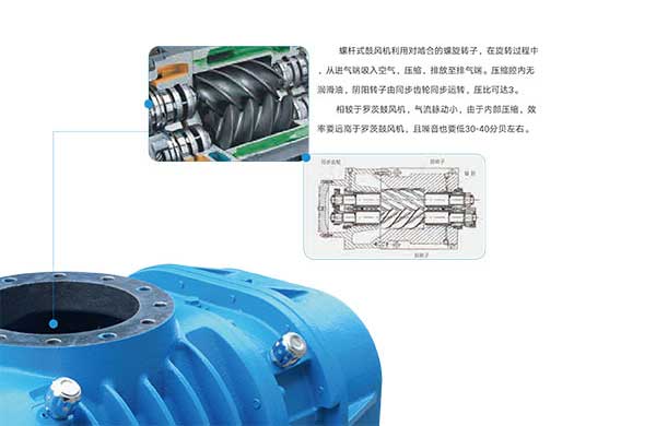雅之(zhi)雷(lei)悳-無(wu)油螺(luo)桿皷(gu)風機-4