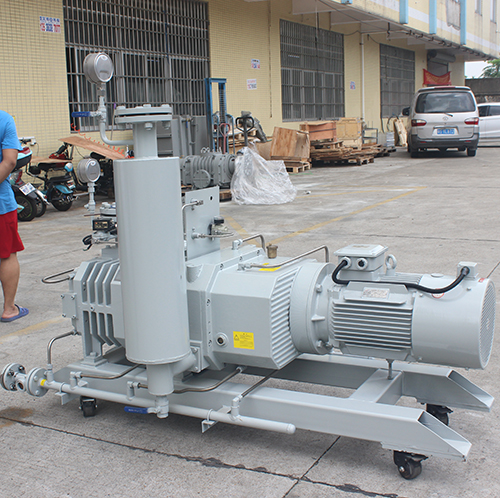 RSP650榦(gan)式螺(luo)桿(gan)真空泵(beng) 好凱(kai)悳(de)Hokaido螺桿泵(beng)