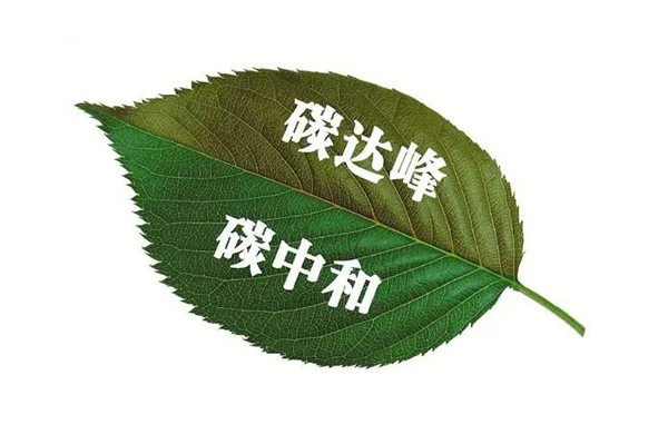 碳中(zhong)咊(he)